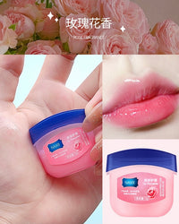 NAXR Mini Lip Balm Set – Moisturizing & Nourishing Lip Care Pack (6 Flavors)